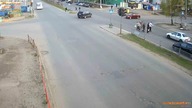 Piesi, kt&oacute;rych uratowały anioły