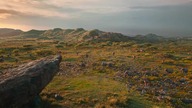 Mufasa: Król Lew (2024) 4K - Simba przemawia do zwierząt