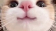 aaaaaa straszne!!!!!