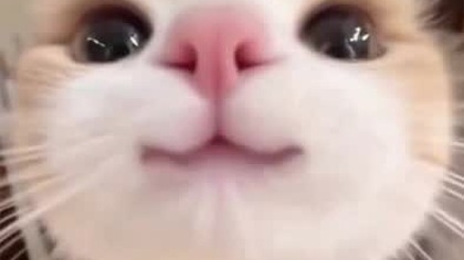 aaaaaa straszne!!!!!