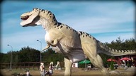 Dino in ...  Gniewino (LOL)