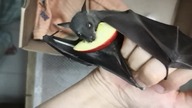 the bat