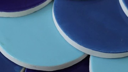 WOW  Tych płytek nie da się odzobaczyć Meksykańska rybia łuska Wybrzeże Veracruz  #shorts