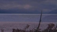 Czysta nauka - Tajemnice Loch Ness [Lektor PL]