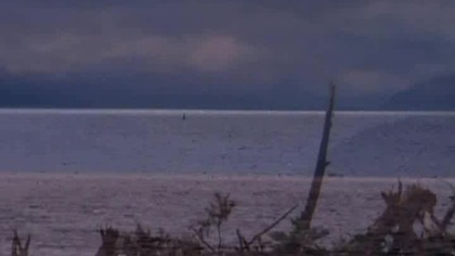 Czysta nauka - Tajemnice Loch Ness [Lektor PL]