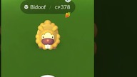 Shiny Bidoof Encounter