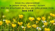 Paweł Małysz świadectwo