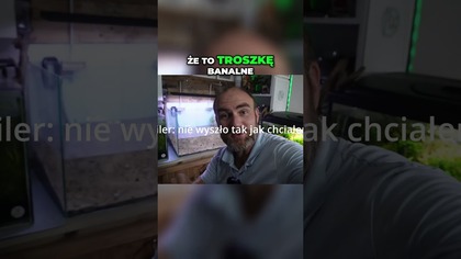 Magiczne Układy Woda i Skały w Projekcie!