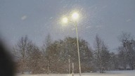 Śniezyca