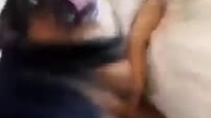 Reksio ty kurwo xD