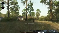 Hunt