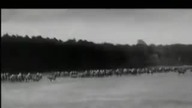Wielka Wojna na Wschodzie 6/8 Lipiec 1920 - 12 Sierpień 1920