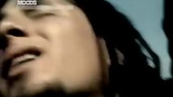 P. O. D. - Alive (2002)