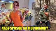 AMANITA MUSCARIA - Maść na STAWY - jak zrobić ją z muchomora?