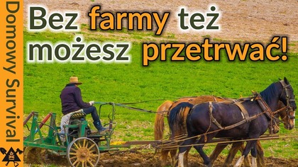 Samowystarczalny jak Amisz: to mrzonka.  Są lepsze metody.