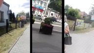 inny niż inni - raz dwa trzy oaza dla ciapatych