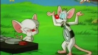 Pinky i M&oacute;zg S03E01 - Zostawcie to bobrom - M&oacute;zgomania