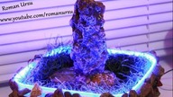 How to make a mini fountain-stream / Tutorial