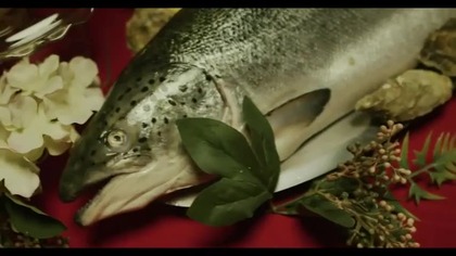 fame friday arena (więcej darmowych gal opiśie)