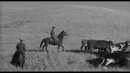Rzucić długi cień.  1959.  Lektor.pl .westrn.