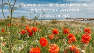 Audycja Wyzwolony - Manuel Haro