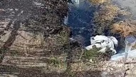 Gołębnik dla pocztowych na finiszu  #egzotyka #fus #pigeon #golebie #hodowlagolebi