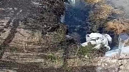 Gołębnik dla pocztowych na finiszu  #egzotyka #fus #pigeon #golebie #hodowlagolebi