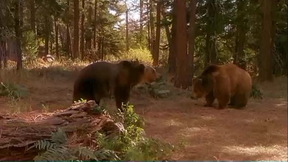 Dr.  Dolittle 2 2001. 360p. H264