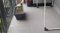 Sprawdzamy poparcie naszych polityków (ankieta)