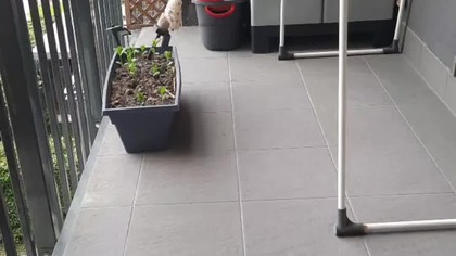 Sprawdzamy poparcie naszych polityków (ankieta)