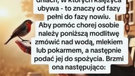 #psychika #zaklecia