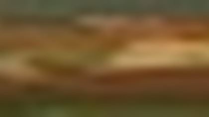 Księżniczka Sissi 51 - Podwójna gra