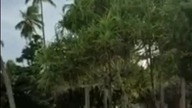 ZANZIBAR - CO CZARNY LĄD SĄDZI O POLSCE?