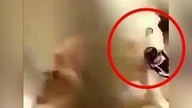 Przerażające filmy tylko dla odważnych