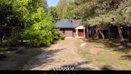 Ciągnie wilka do...  lubuskich las&oacute;w