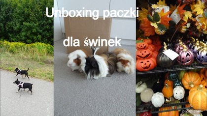 Duży haul na jesień i halloween
