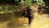 CM 027  MP5 Fast Water Test