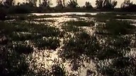 Dzieje kultury polskiej 02 Korona pierwszych Piast&oacute;w.  Dokument