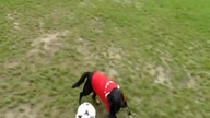 Jego idolem jest Messi   