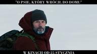 O psie, który wrócił do domu  spot 15 s. (1)