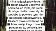 Szczerość a Znak Zodiaku  #magic #ezoteryka #znakzodiaku