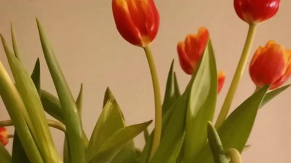 Jestem przeciw bezprawiu