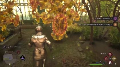 Dziedzictwo Hogwartu - PS5 PRO #