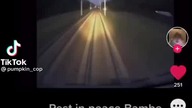 Test. vid