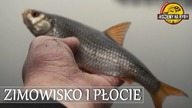 PŁOCIE Z CHMURY NA ZIMOWISKU RYB