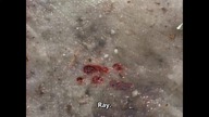 Due South....S01E13