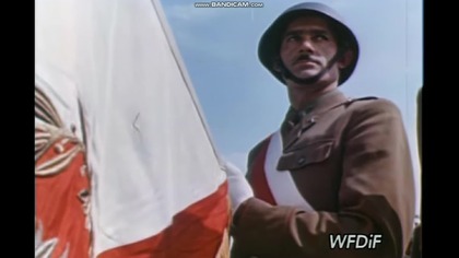Czołem Dumnej Narodowej Polsce!!!