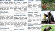 www. G-way.pl