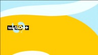 TeleTOON + - Letni dżingiel reklamowy 2018 - obecnie
