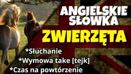 Zwierzęta po angielsku